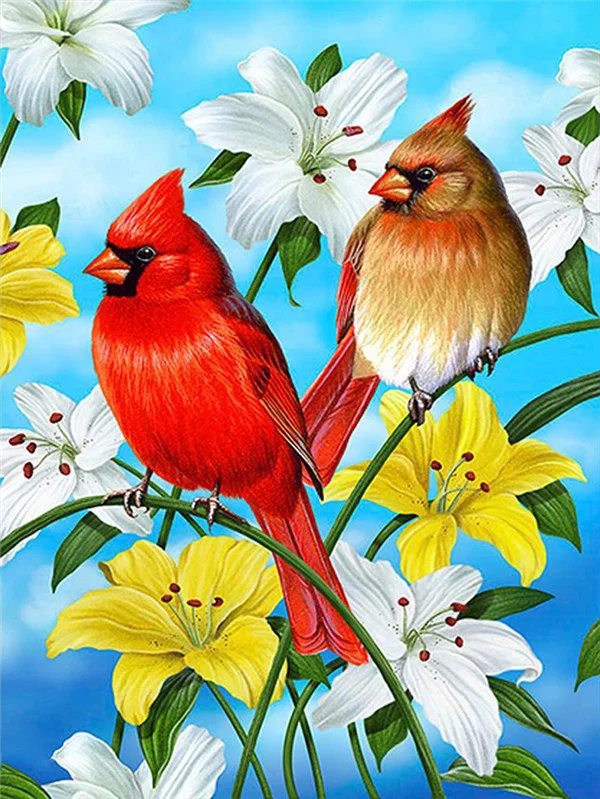 Huacan Diamant Malerei Papagei Tier Strass Kit 5d volle quadratische runde Diamant Stickerei Vogel Mosaik Blume handgemachtes Geschenk