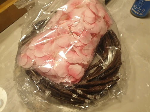 리뷰 사진