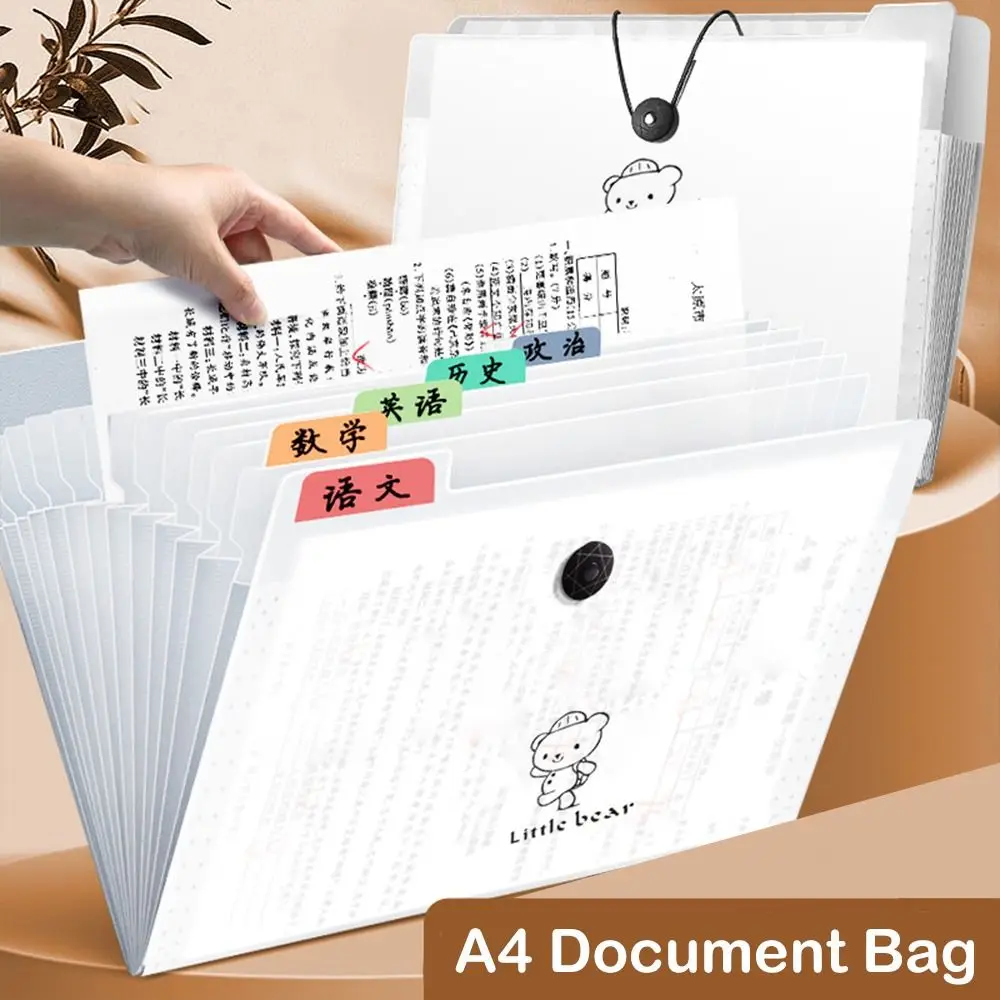 Cartoon Expanding Folder A4 Organ Bag File Organizer Translucent A4 File Folder Little Bear Thickened Blueprint