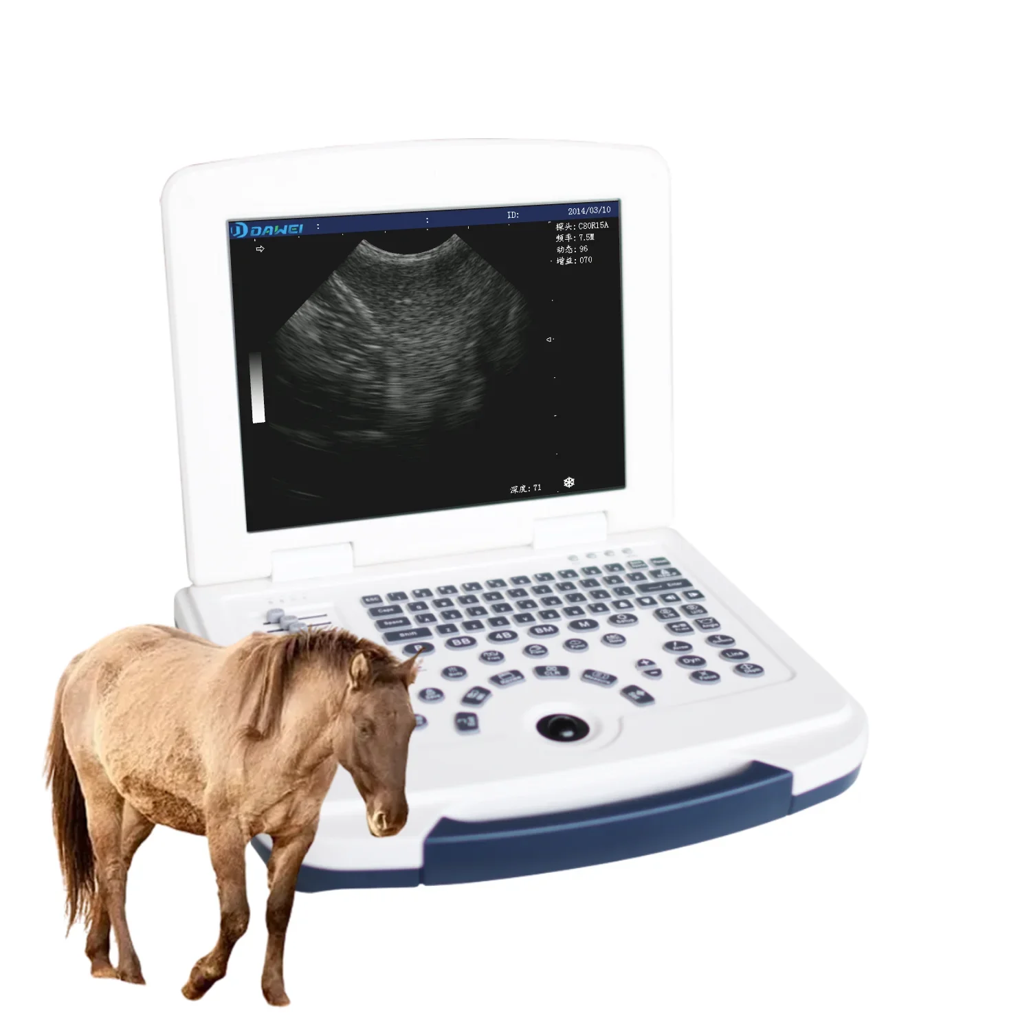 Digital Ultrasonic Diagnostic Imaging System Portable Cow Ultrasound Scanner Portable Veterinary Ultrasound