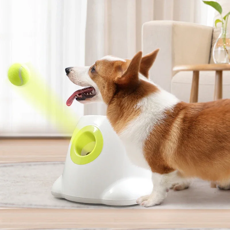 Automatic Dog Tennis Ball Launcher Training  Toy Automatic Tennis Balls Throwing Launcher Interactive Puppy Pet Ball Thrower