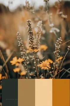 

For MJX Hyper Go RC Car Parts Remote Control 14209 1/14 Off road vehicle beach bike accessories/E45AZ electrically adjustable