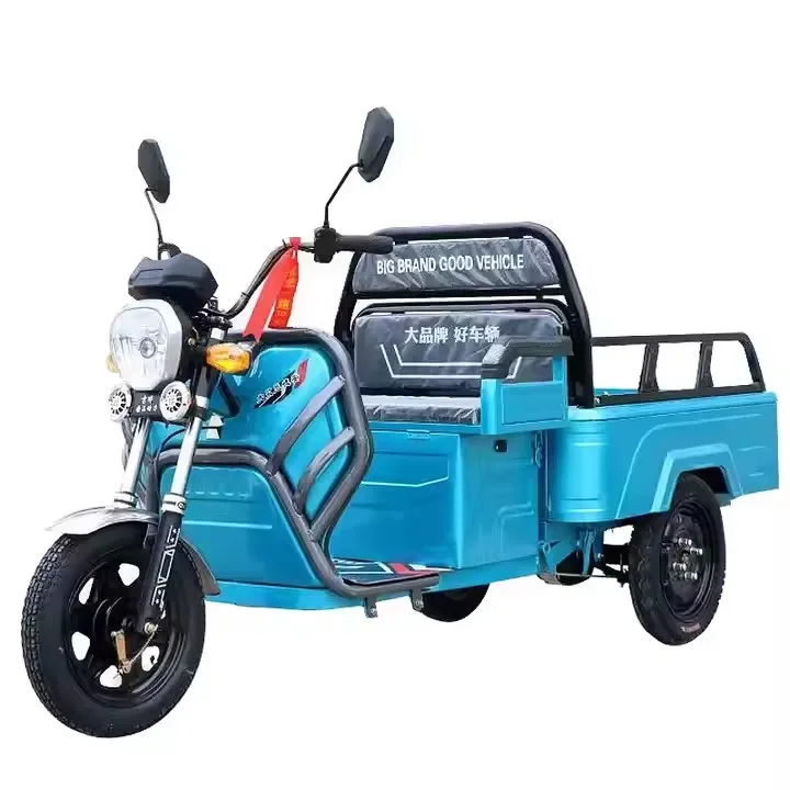 2024 New Electric Tricycles 3 Wheel Electric Cargo Bike Minitype For Cargo Solar