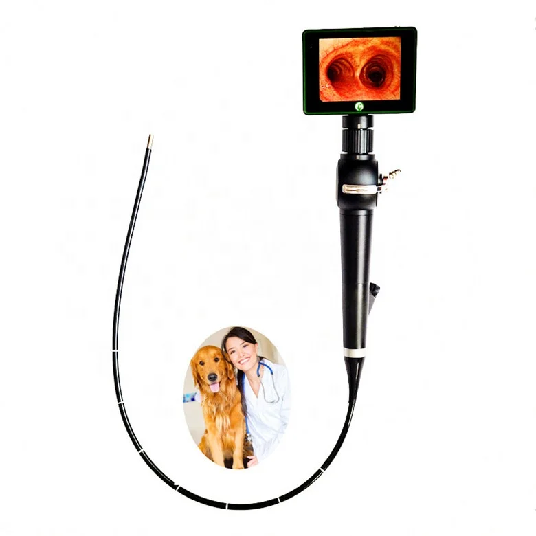 3-100mm Depth of field and 800lux illuminance video laryngoscope for veterinary intubation use