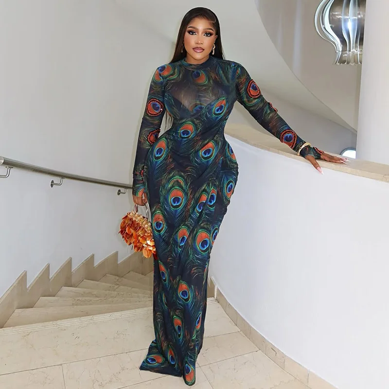 فستان Doyerl مطبوع شبكي شفاف بأكمام طويلة فستان نسائي لأعياد الميلاد المشاهير غمد مرن للحفلات الراقصة والنوادي فساتين ماكسي فيستدو