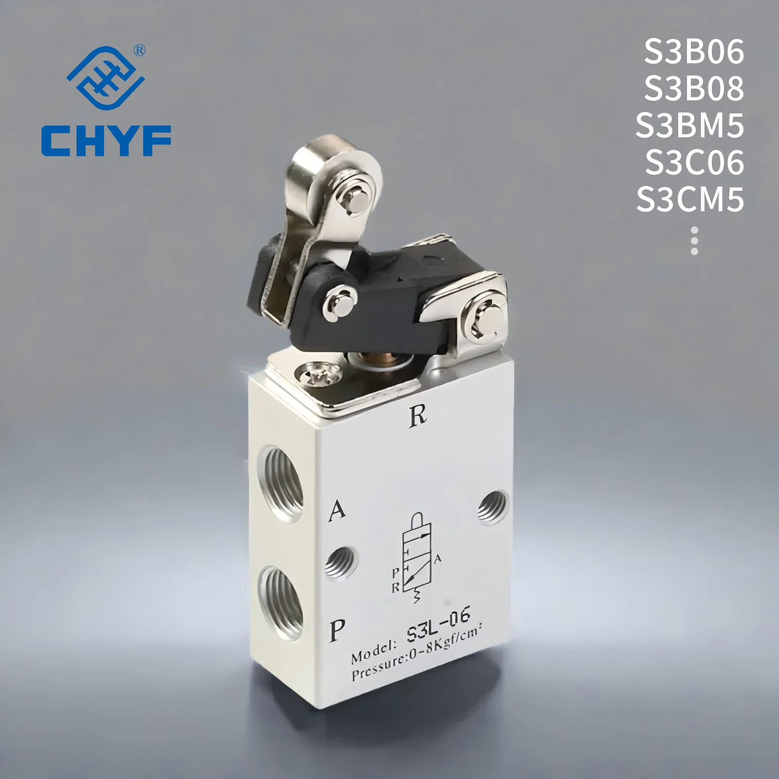 

S3 Series Pneumatic Control Valve S3B06