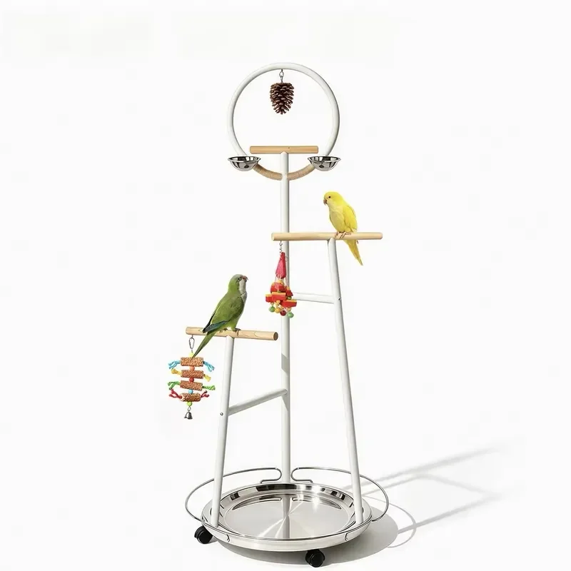 Curved-Arc Bird Perch Stand Stacked-Wood Metal Construction Floor-Standing Large Interactive Branches-Universal Bird