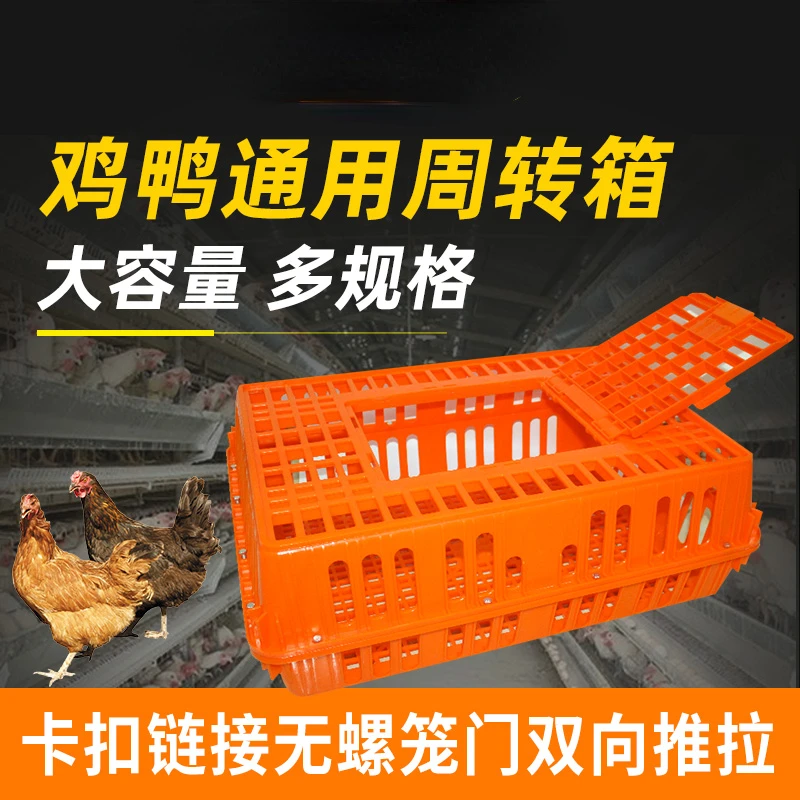 Chicken Cage Turnover Box Plastic Transport Cage Poultry Turnover Box Chicken Duck Goosepigeon Cage Rabbit Cage Breeding Cage