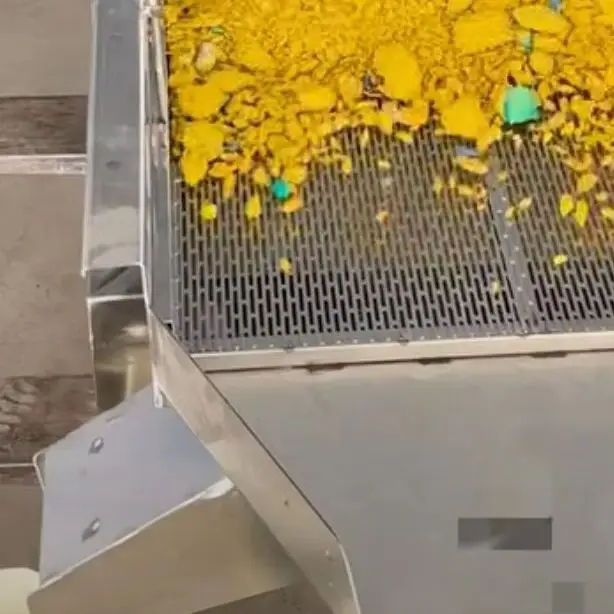 

Stainless Steel Maize Sieving Machine Peanut Almond Walnut Sifting Cocoa Coffee Beans Sorting Nut Grading Machine