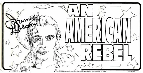 DEAN EMBOSSED METAL LICENSE PLATE AUTO CAR TAG AN AMERICAN REBEL#X11 Aluminum