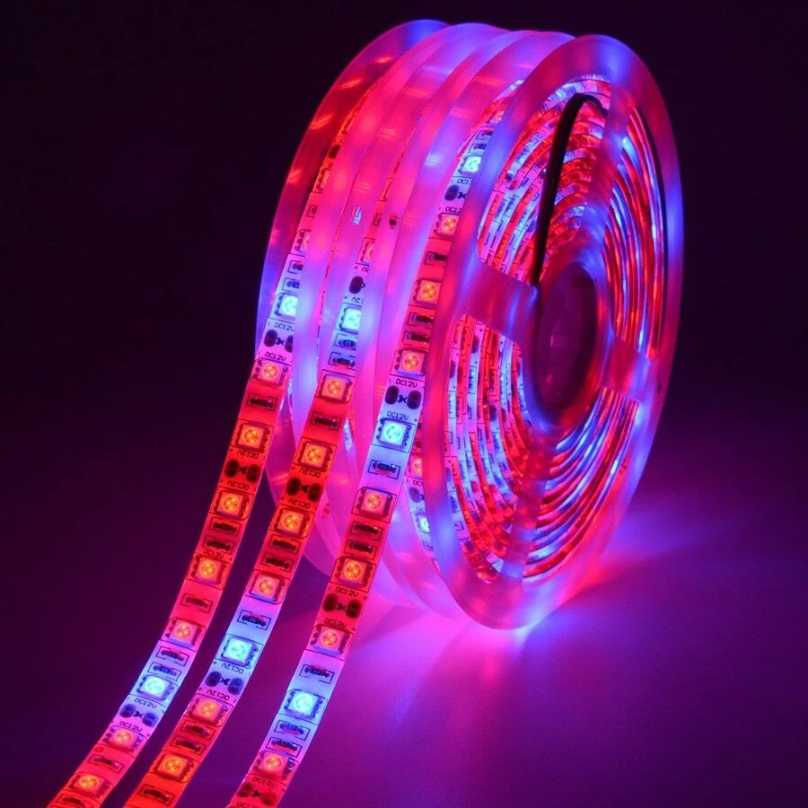 Phytolamp per piante Led Coltiva la luce Diodo a spettro completo Nastro flessibile Nastro per coltivazione idroponica per serra Striscia luminosa a led 12V