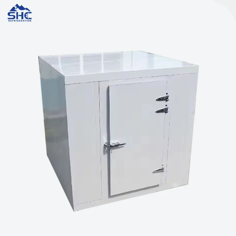 Walk in Freezer Cold Room /Cold Room Storage/Cold Storage Walk-in Cold Storage Cold Storage Project