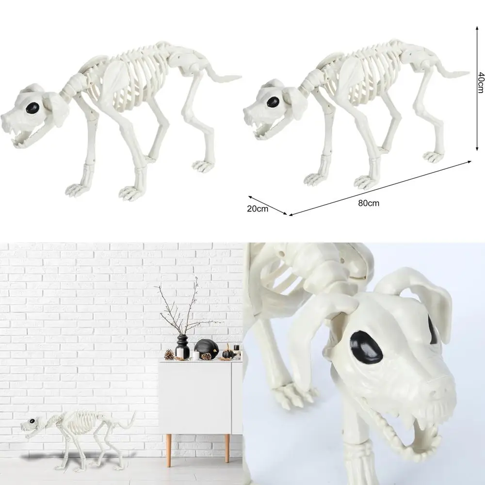 

Posable Halloween Skeleton for Spooky Home Decor and Plastic Farm Animal Skeletons