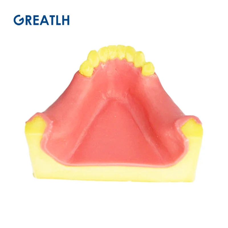 Dental Maxillary Sinus Lifting Exercise Model Dental Implant Practice Model for Practice Teaching Dental Instrument