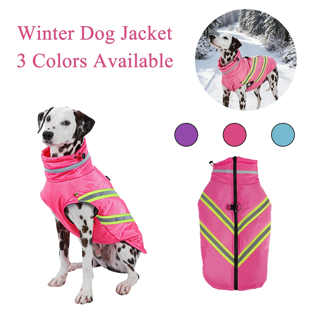 Winter Clothing In French - Veste pour chien de compagnie, manteau