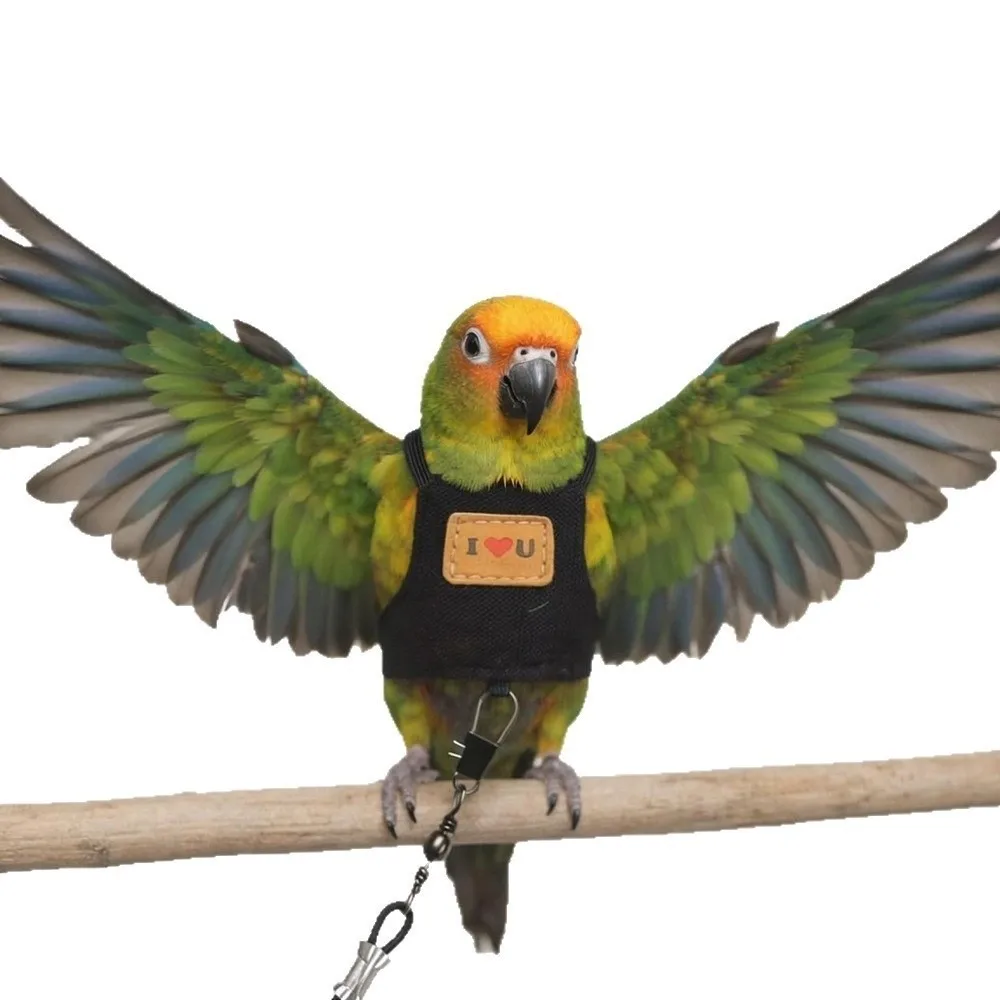 Adjustable Bird Flight Suits Sun Protection Anti-bite Straps