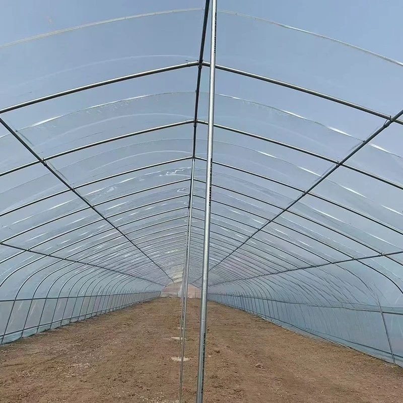 2025년형 폴리하우스 농업용 터널 온실 폴리카보네이트 그린하우스 프레임
