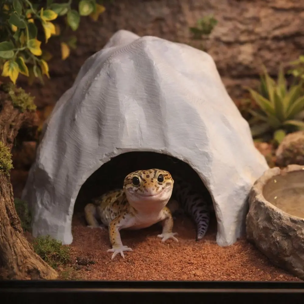 

Lightweight Plastic 3D Printed Reptile Shelter Stable Realistic Reptile Habitat Artificial Terrarium Decor for Amphibians