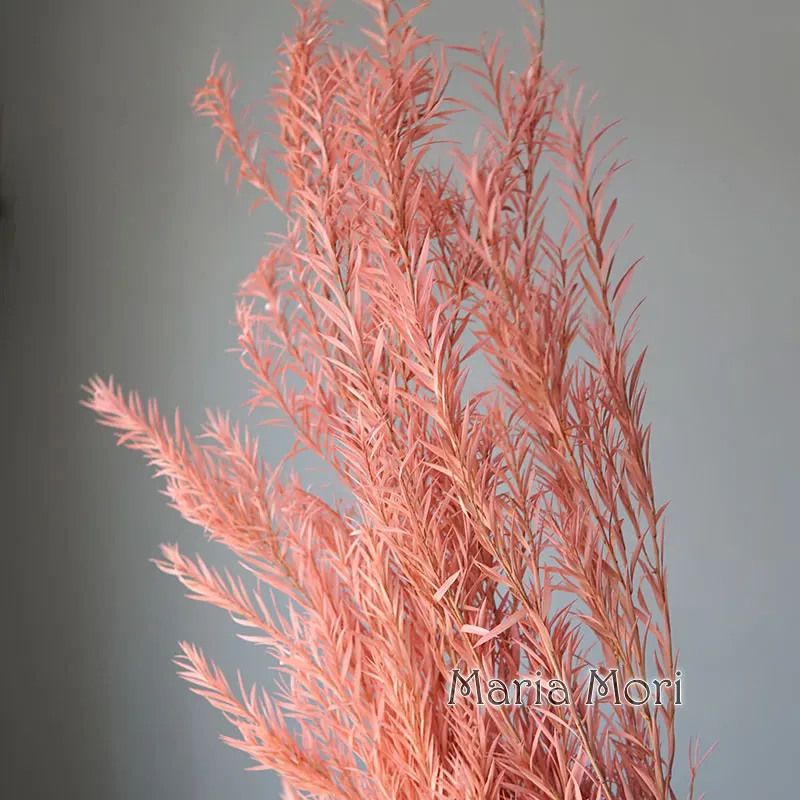 Melaleuca Bracteata декоративные цветы украшения цветочный букет консервированный цветок красный для домашнего офиса свадебный деко