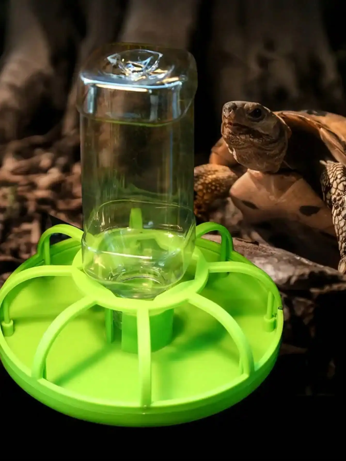 Automatic Water Dispenser 3