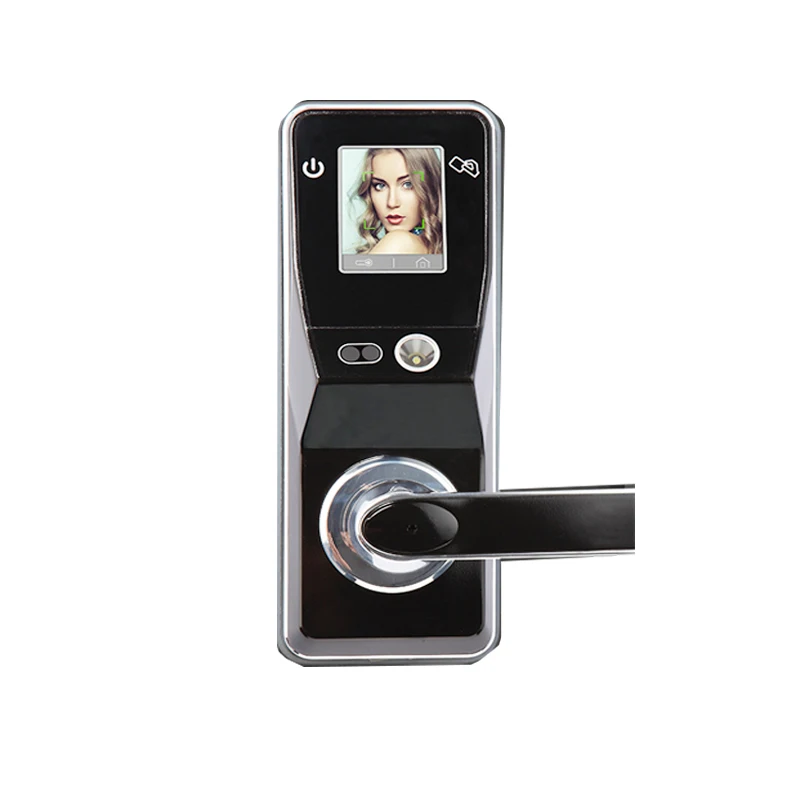 Good Supplier Face Recognition Door Smart Lock