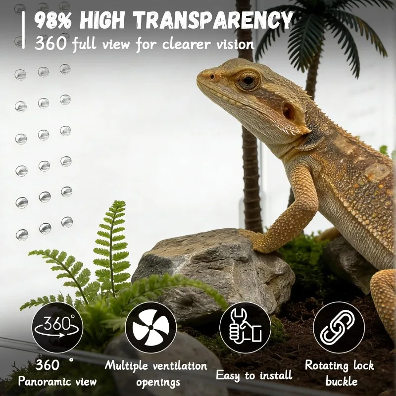 Acrylic Reptile Habitat Enclosure 5