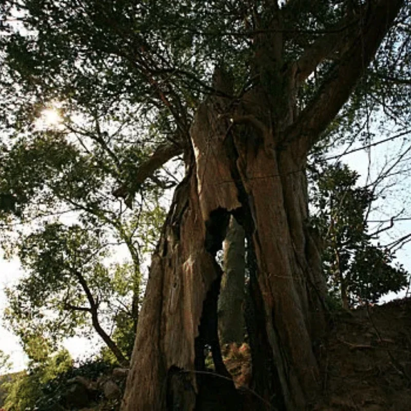 

RC Model car 1/10 flat running road racing tire TT01 strong grip and wear-resistant 70MM nylon hub