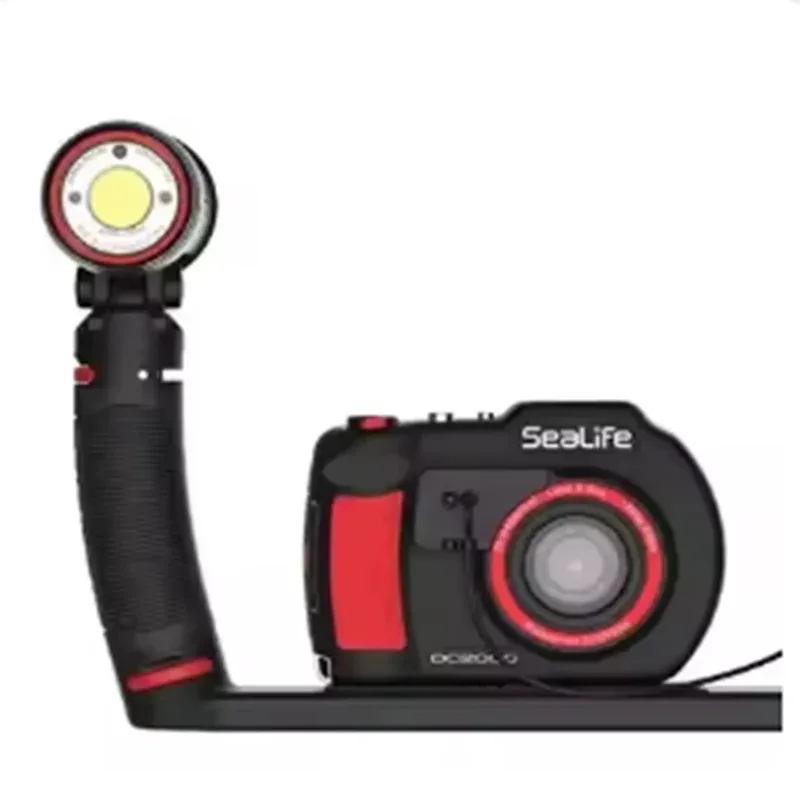 

Новая продажа DC2000 Mini Underwater Camera Pro Flash Set Водонепроницаемый видеорегистратор ночного видения NVR Data CMOS SDK SD Card Access