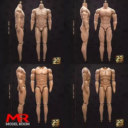 23TOYS 23-BD001 1/6 Scale Male Soldier Joint Body 23.5cm - 27.5cm Male Standard Muscle Action Figure Articulate Body