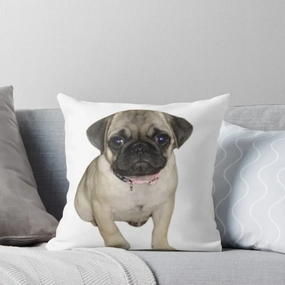 Coco Pug Puppy Throw Pillow Luxury Living Room Decorative Cushions Decorative Sofa Cushion pillow