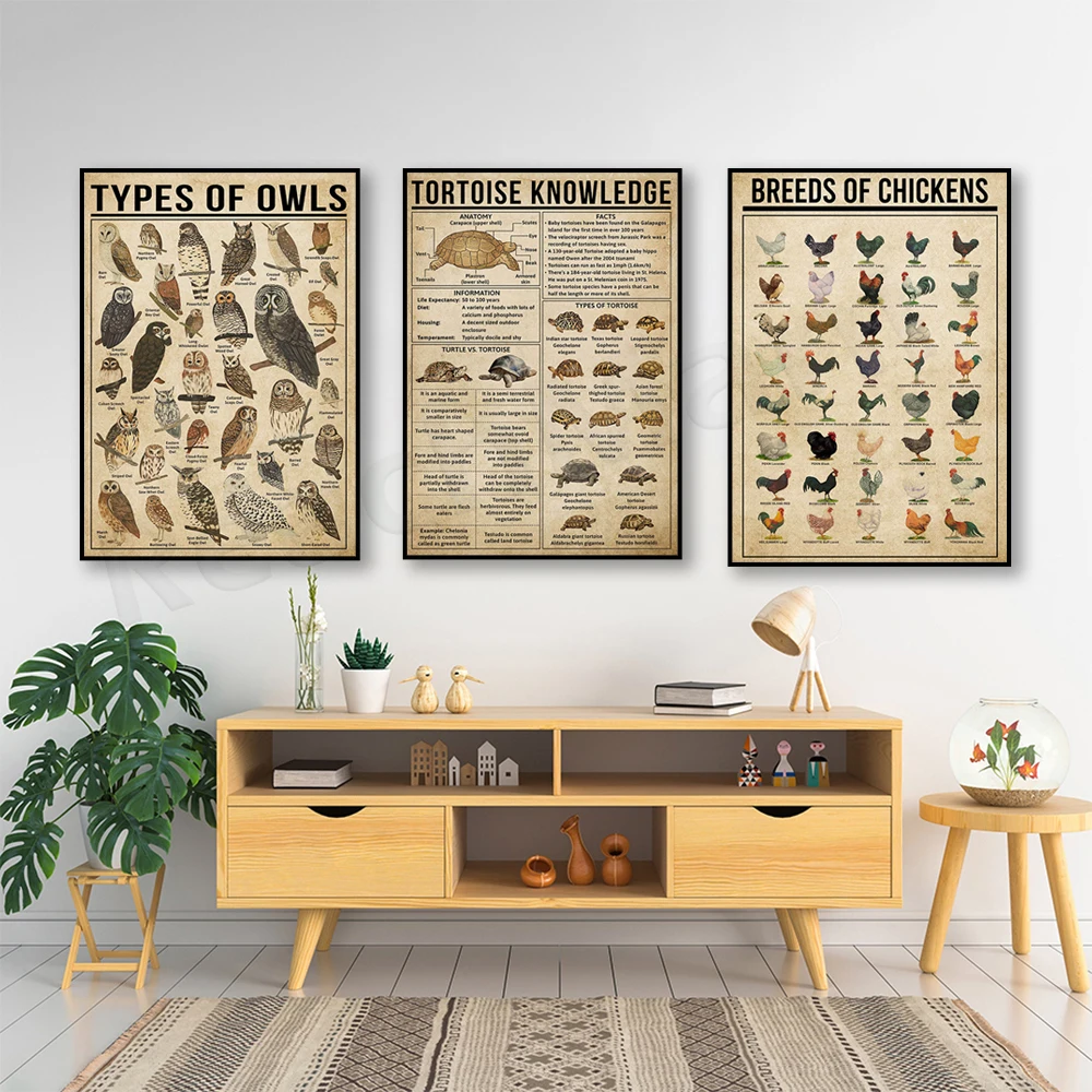 Farm Chicken Breeds Knowledge Poster, Turtle Knowledge Poster, Owl Species Poster, Barn Owl Knowledge Poster, Animal Poster