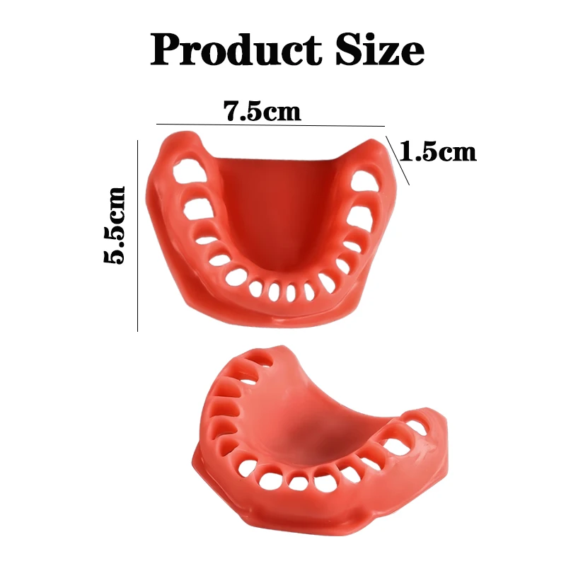 28 Teeth Soft gingiva Simulado gums Upper and Lower Fit Dental Kilgore NISSIN 200 Type