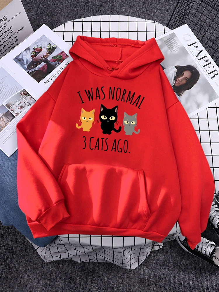 Tôi Là Bình Thường 3 Con Mèo Trước In Dạo Phố Nữ Phim Hoạt Hình Bông Tai Kẹp Áo Hoodie Quá Khổ Thời Trang Áo Thun Chui Đầu Rời Bỏ Túi Nữ Có Mũ Trùm Đầu