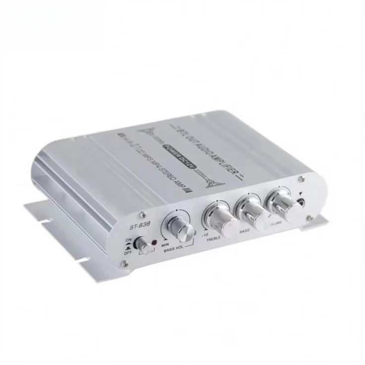 Aoshen Factory Portable Mini Sub Amplifiers 2 Channel Car Audio Home 12V Power Amplifier for Motorcycle Car Bus Home Audio
