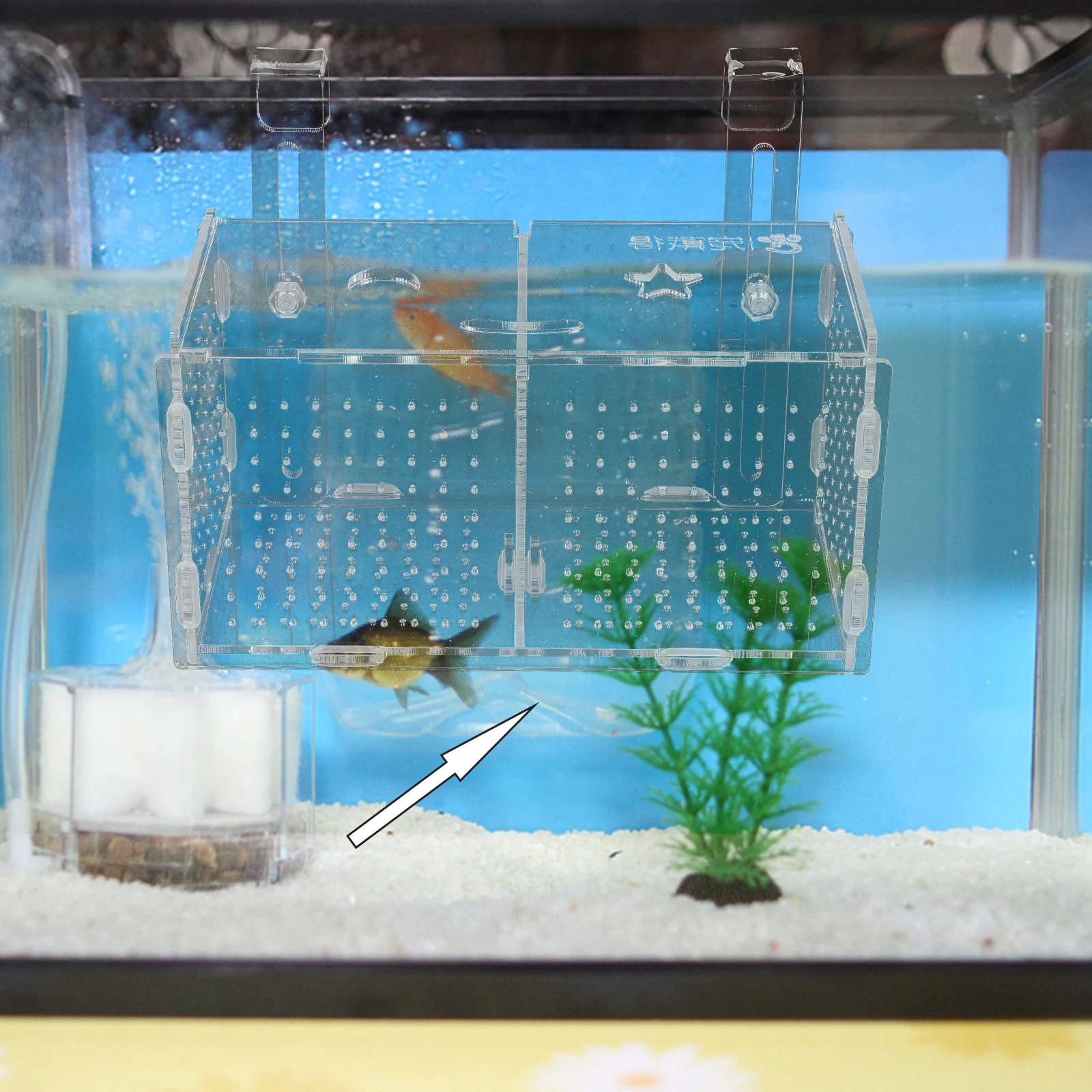 

1 Set Aquarium Container Transparent Hatching Incubator Durable Holder Hatchery Acrylic Tank Breeding Case Fish Tank Isolation