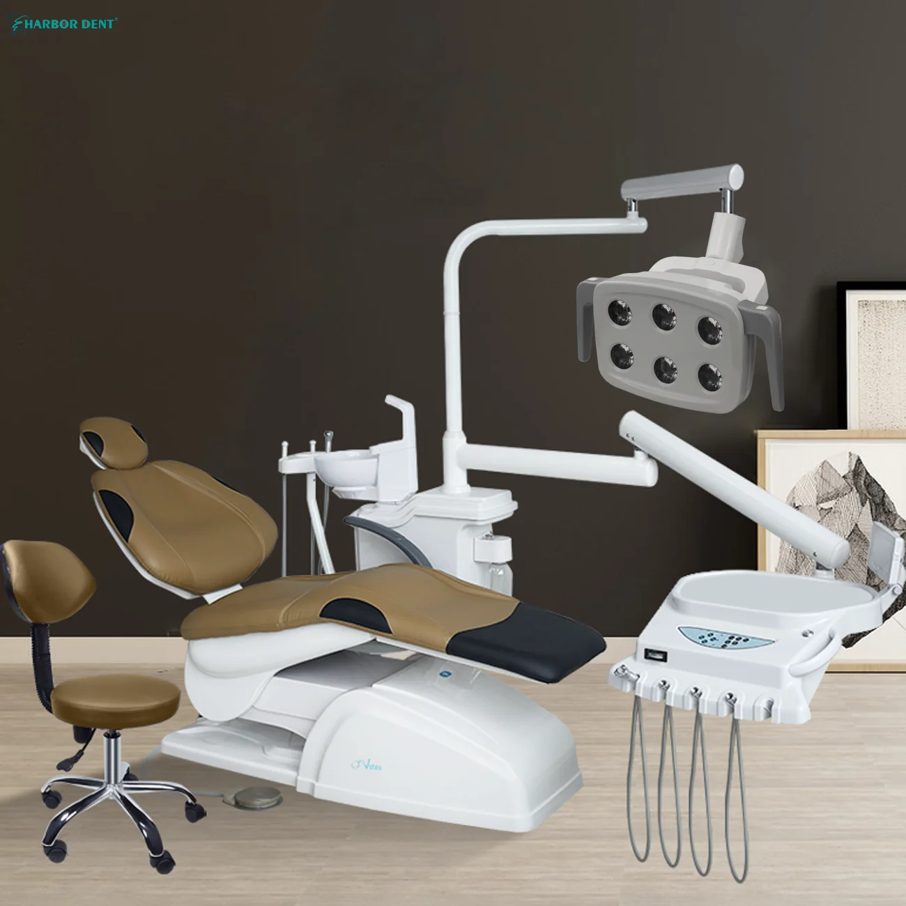 Dental LED Light Induction Light Shadowless Light Dental Whitening Oral Light Dental Surgery Chair Dental Appliances