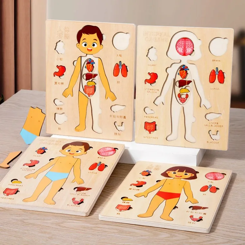 Montessori-Puzzles für den menschlichen Körper, beschäftigtes Brett, Körperteile, Unterrichten, pädagogisches Anatomie-Spielzeug für Kinder, frühes Lernspiele