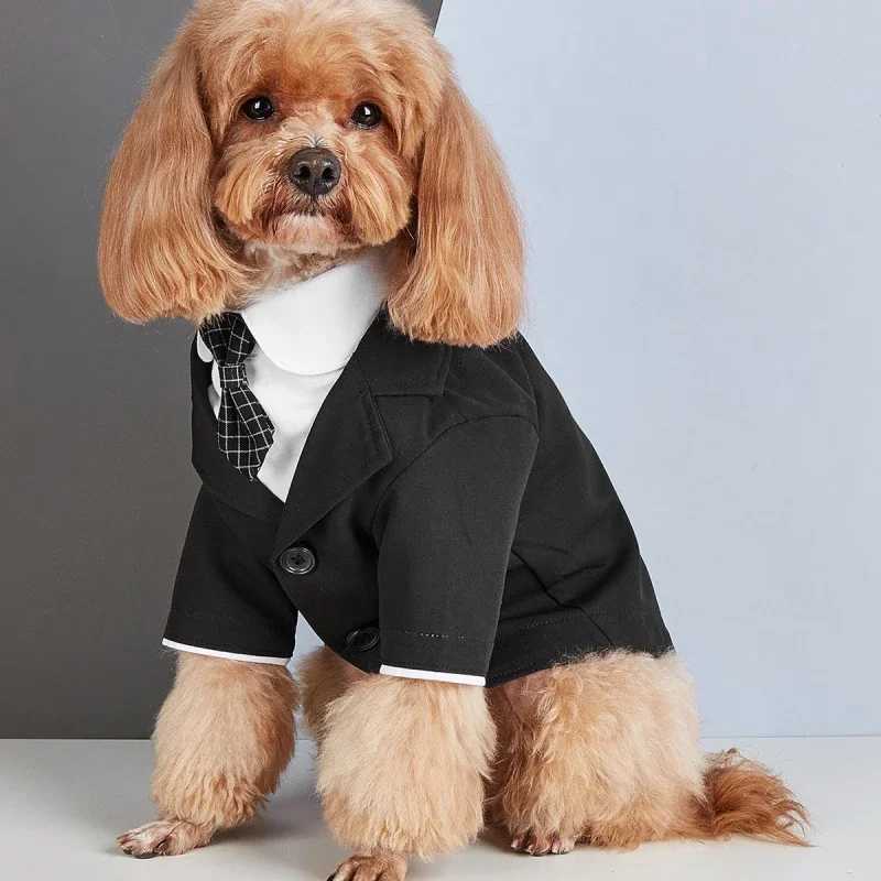 Boy Dog Clothes Wedding Suit Male Pet Apparel Tuxedo Pomeranian Poodle Bichon Schnauzer Pug French Bulldog Pet Clothing Costume