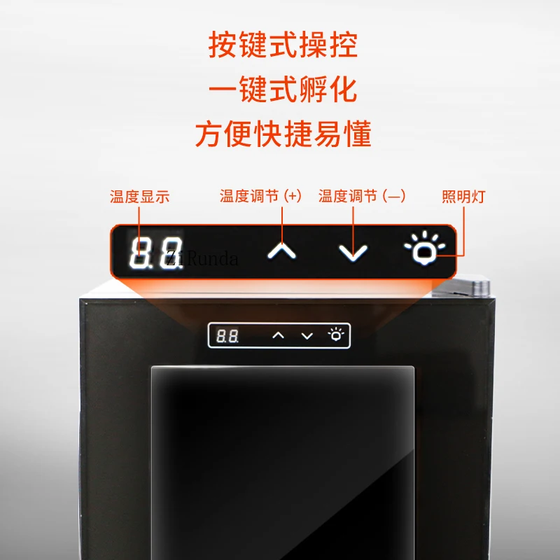 Schildkröten-Eierzucht-Inkubator, Raupen-Haustier-Inkubator, Raupen-Ei-Inkubator mit konstanter Temperatur