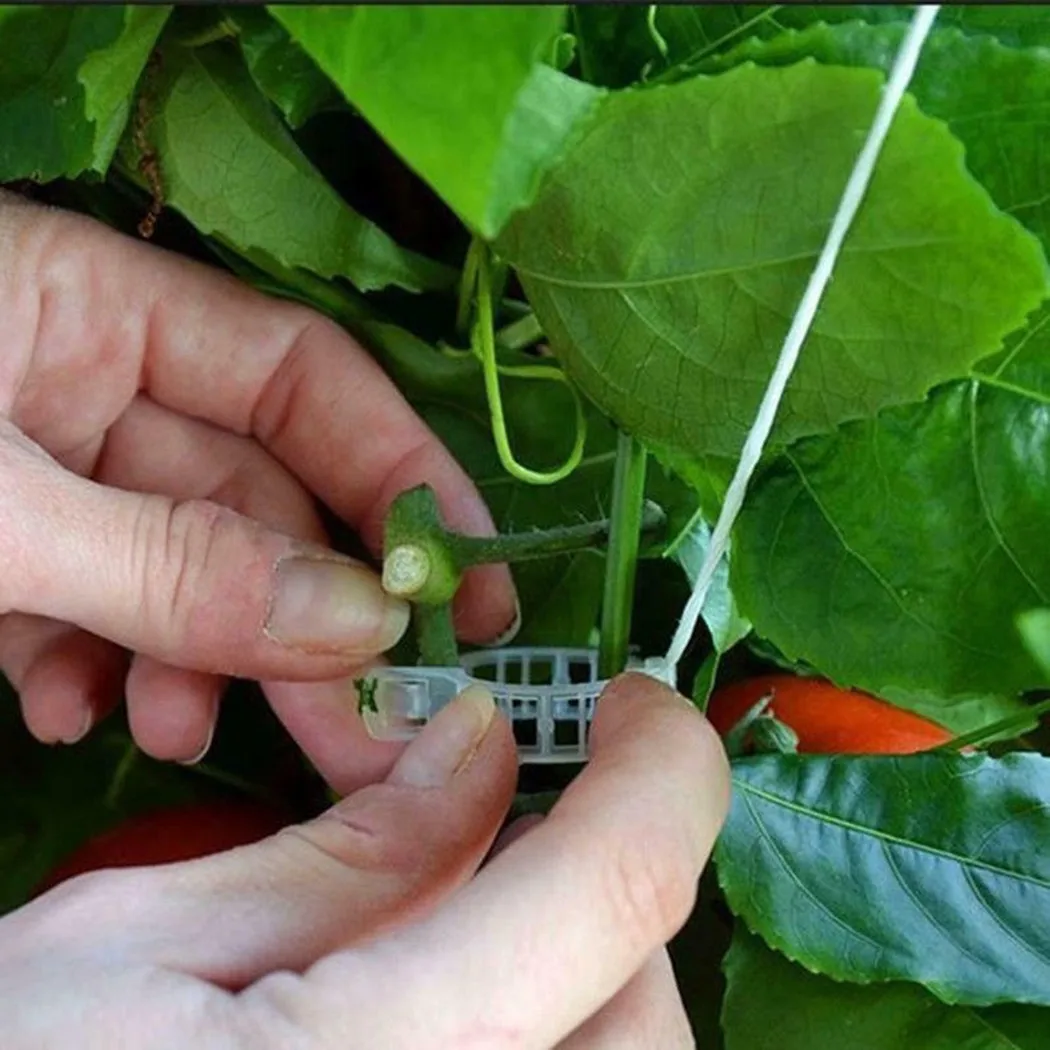 Vegetables Vine Clips Tomato Support 100Pcs Veggie Greenhouse Plant Vine Clips Lightweight For Grafting Eggplant