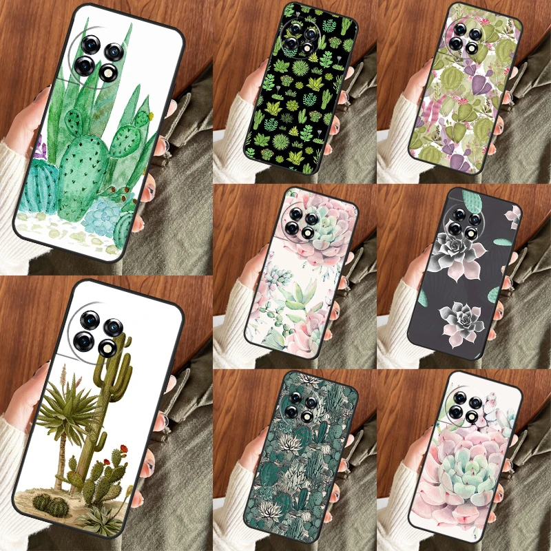 Succulents And Cact… - image