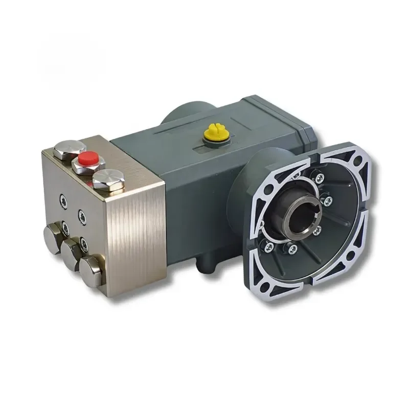 100 Bar 19 L Min Triplex Plunger Pump with Stainless Steel Head for Car Wash Equipment KN 1910