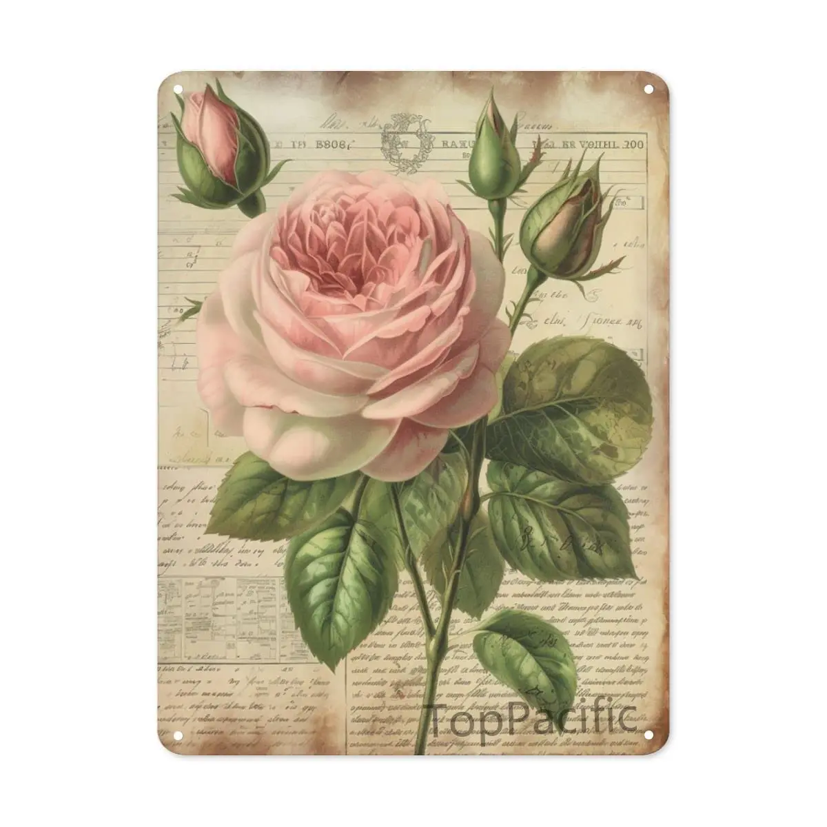 TopPacific es Retro Metal Aluminium Tin Sign, Garden Flower Metal Tin Sign, Beautiful Rose, Farmhouse Sign for Country Farm Kitc