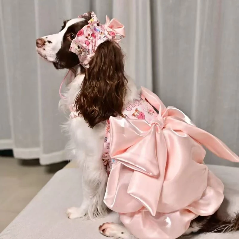 Big Dog Clothes Dre…