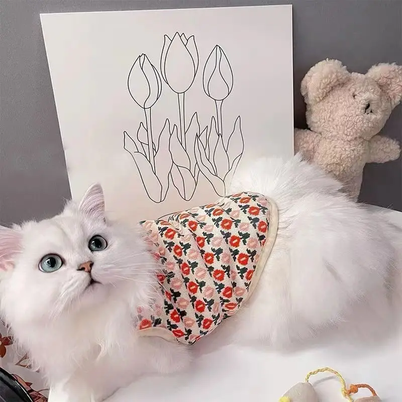 Cute Warm and Thickened Pet Puppy Clothes Cute Small Dog Schnauzer Cat Pomeranian Autumn and Winter