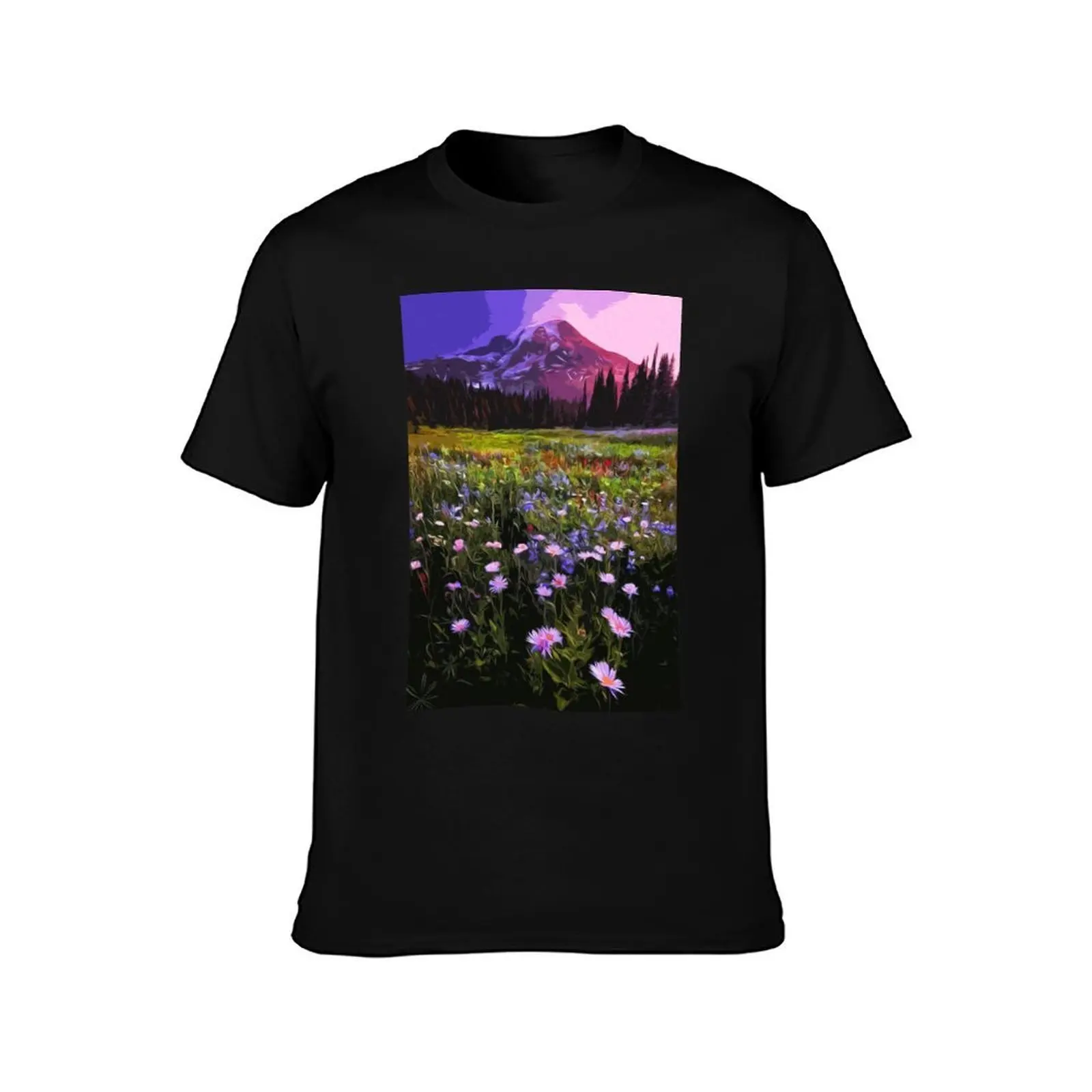 Washington, Mount Rainier National Park T-Shirt Athletic Quick Dry for Men T-Shirt