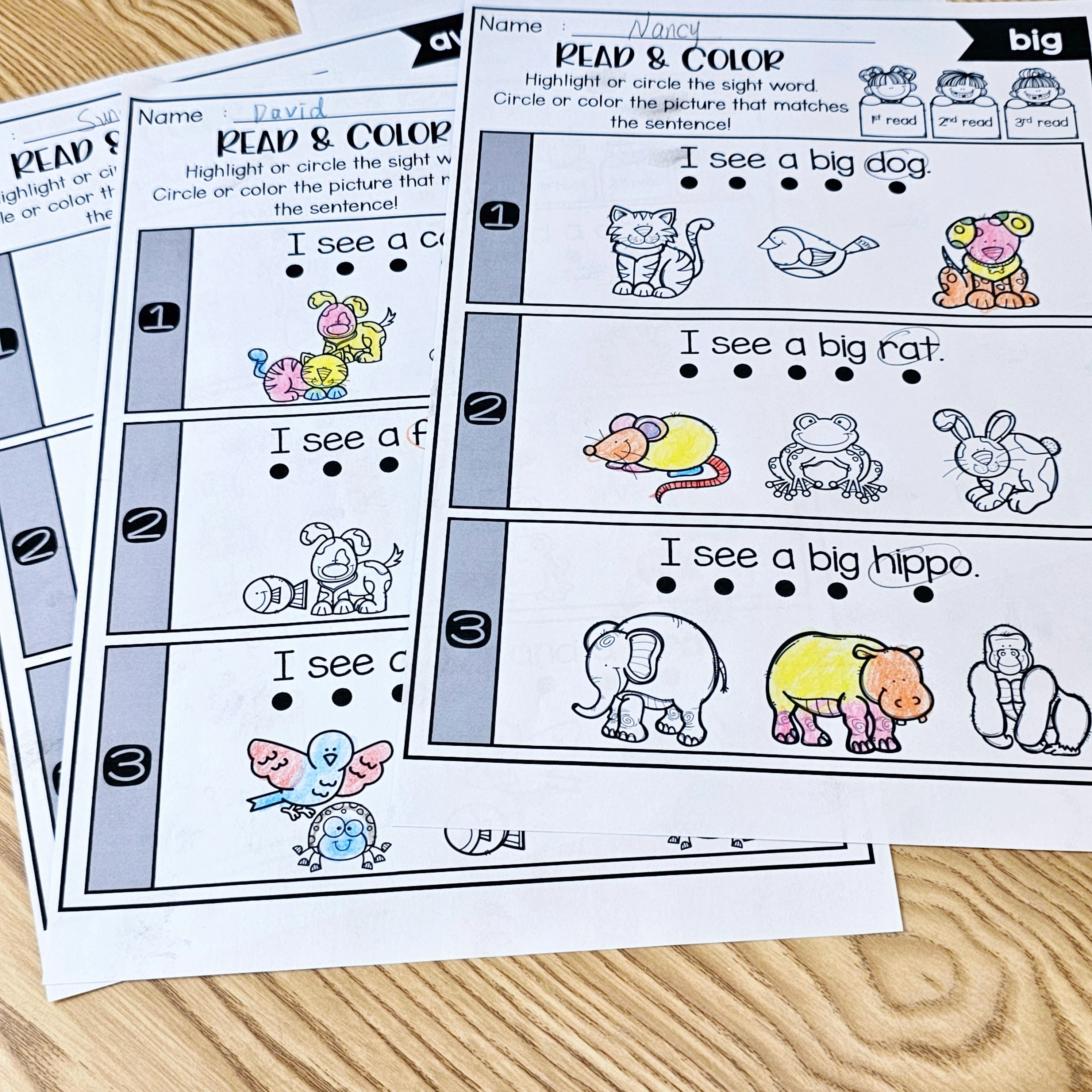 English Reading Comprehension Workbook for Kids, Reading Practice Book, Improve Vocabulary, Reading & Comprehension Skills
