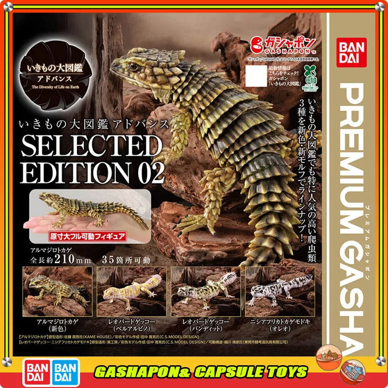 Bandai Biological Atlas South American Rhinoceros Beetle Gashapon Realistic Texture and True-to-life Shape Restoration Genuine