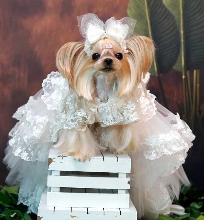 Luxury Design Handmade Dog Clothes Lolita Pet Supplies Wedding Dress Trailing Gorgeous White Lace Classic Crinoline Costume