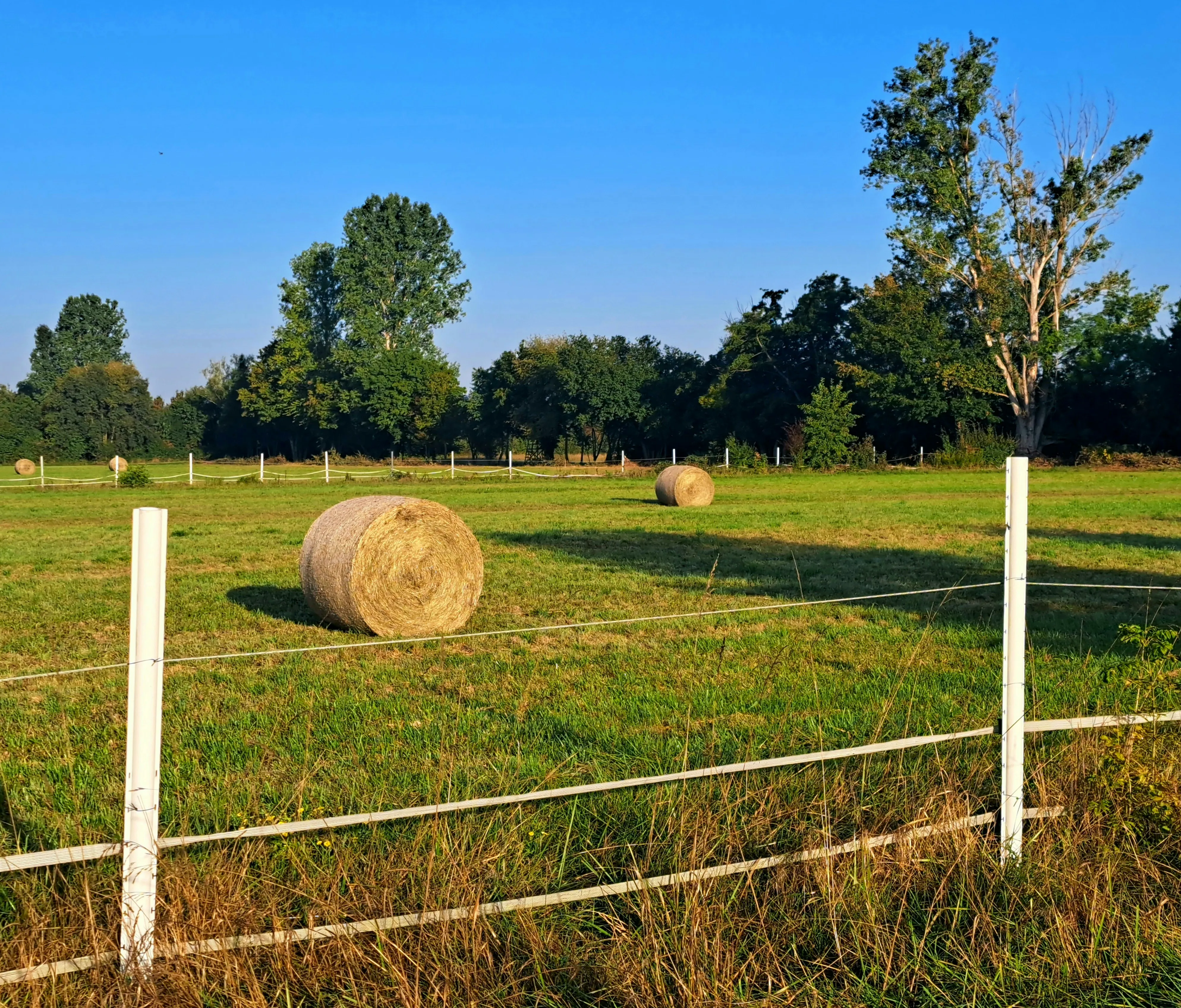 

0445110179 Common Rail Diesel Injector Nozzle 0445110180 Fuel Sprayer Inyector for BOSCH MERCEDES-BENZ A6460700487 6460700487